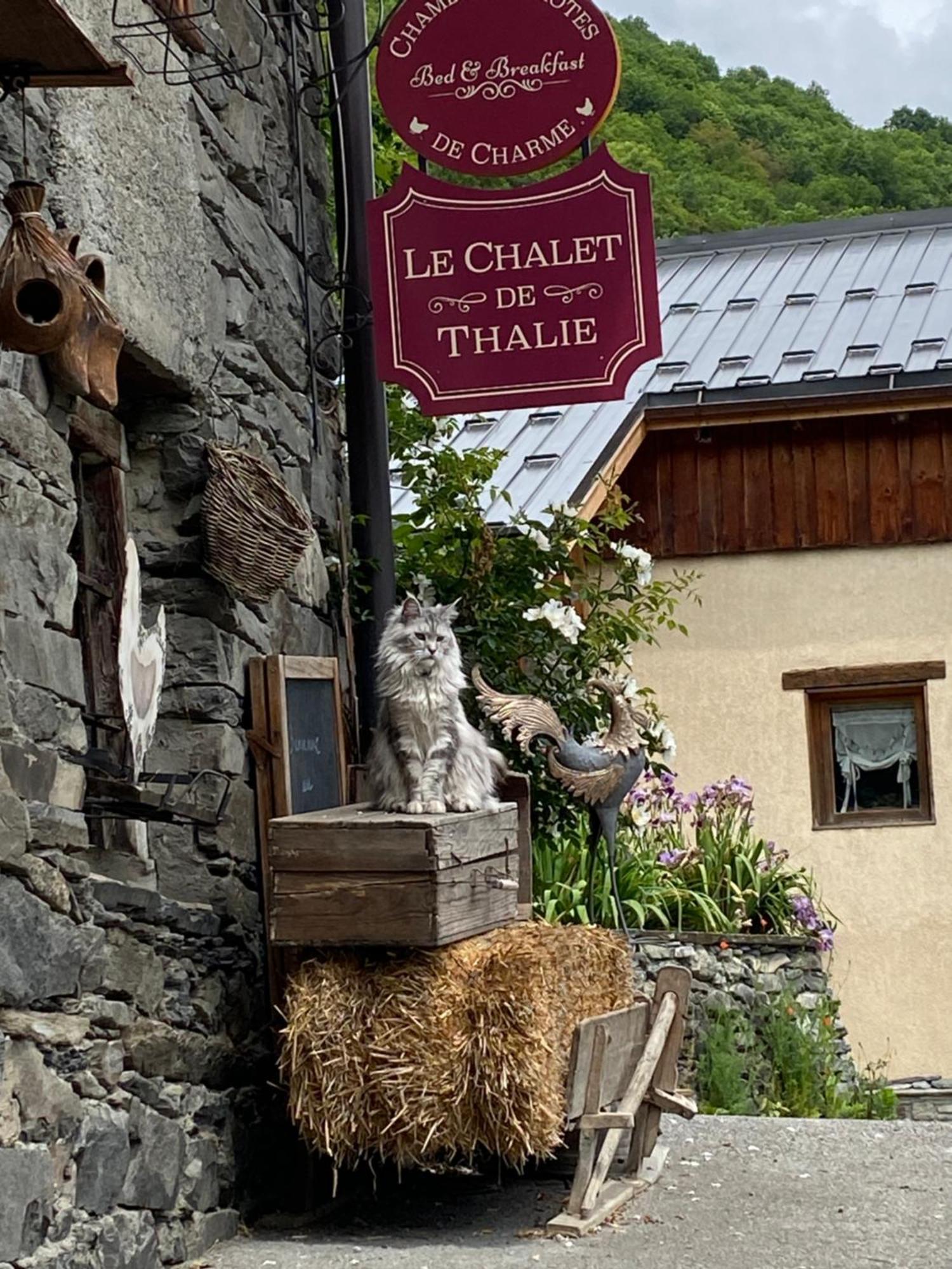 Le Chalet De Thalie Bourg-Saint-Maurice Zewnętrze zdjęcie